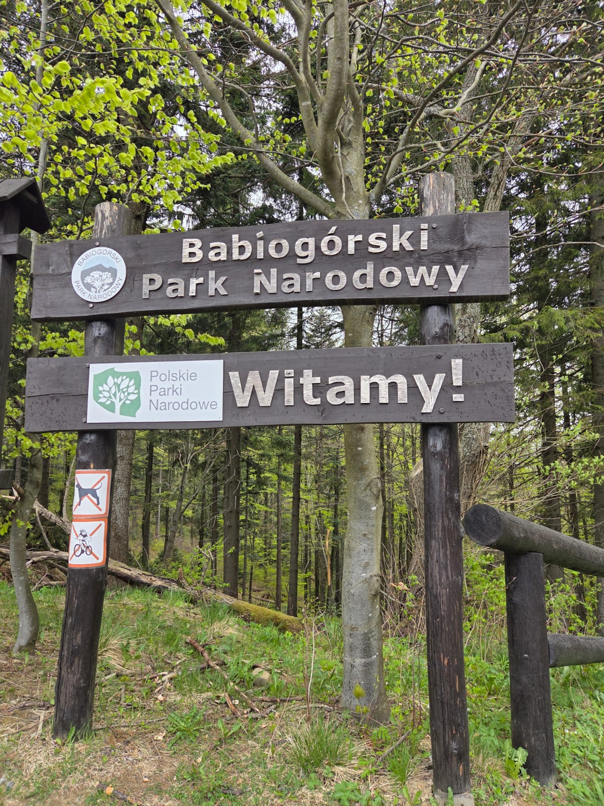 ÐWUDNIOWA WYCIECZKA PIESZA NA BABIĄ GÓRĘ