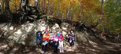 IMG_20251016_102750.jpg