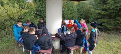 IMG_20251016_110647.jpg